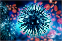 Грипп, коронавирусная инфекция и другие острые респираторные вирусные инфекции (ОРВИ)